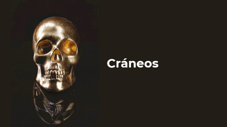 Cráneo de arte contemporáneo