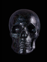 Escultura de craneo brillante