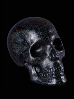 Escultura de craneo brillante