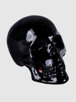 Escultura de cráneo  "CICATRIZ PLATEADA"